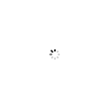 【意大利设计】朗姿2021春装新款法式设计感小众格子真丝连衣裙女图片